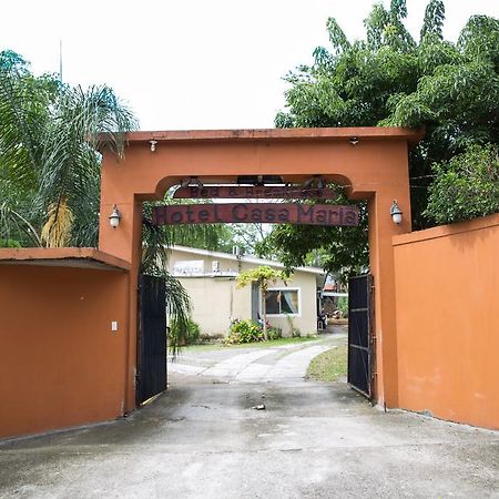 Hotel Casa Maria San Pedro Sula Exteriör bild